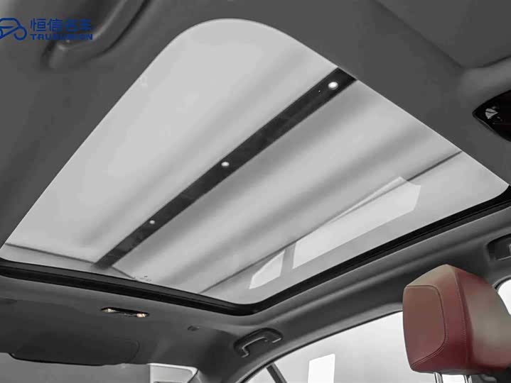 BMW 5 Series 2024 2024款 530Li 领先型 M运动套装