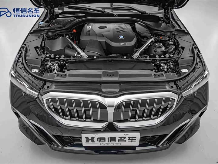 BMW 5 Series 2024 2024款 530Li 领先型 M运动套装