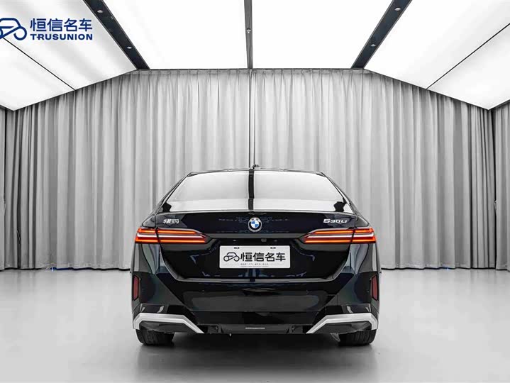 BMW 5 Series 2024 2024款 530Li 领先型 M运动套装