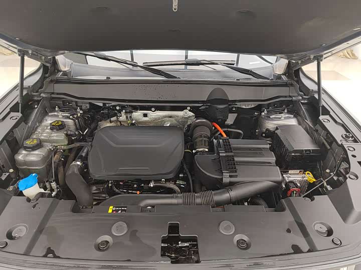 Haval H-Dog Hybrid 2023 2023款 DHT-PHEV 105km 潮电版Plus