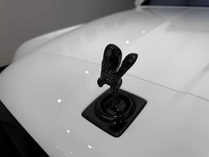 Rolls-Royce Cullinan 2024 2024款 Black Badge