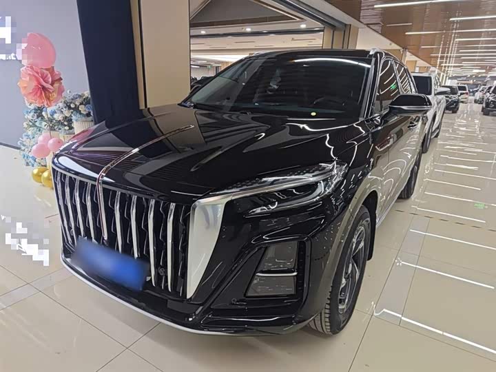 Hongqi HS3 2024 2024款 1.5T 善为版