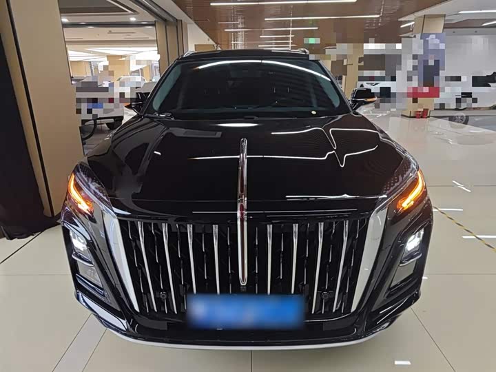 Hongqi HS3 2024 2024款 1.5T 善为版