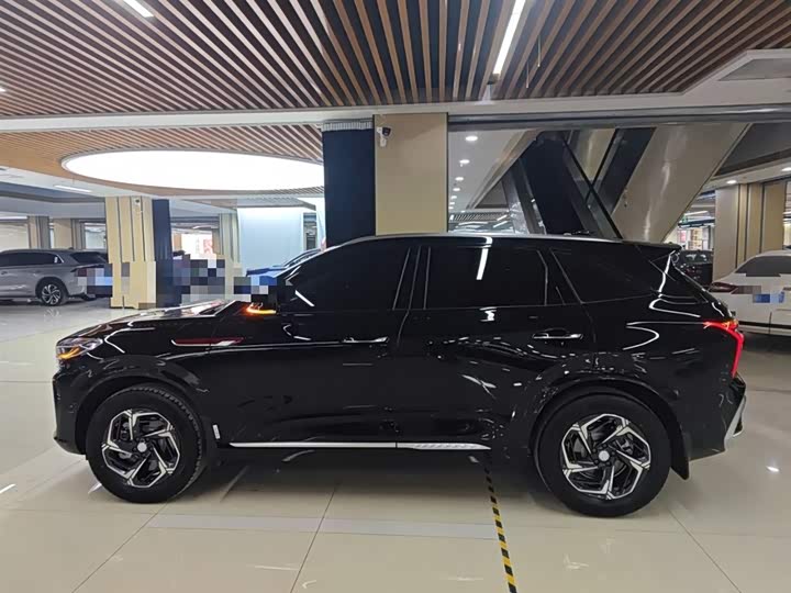 Hongqi HS3 2024 2024款 1.5T 善为版