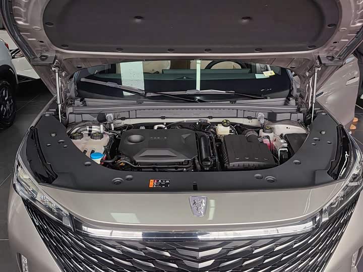 Roewe RX5 Hybrid 2023 2023款 eRX5 超混优越版
