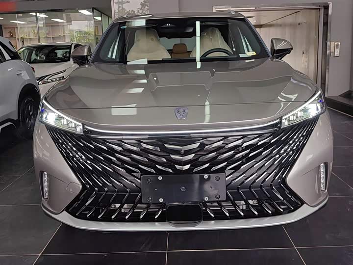 Roewe RX5 Hybrid 2023 2023款 eRX5 超混优越版