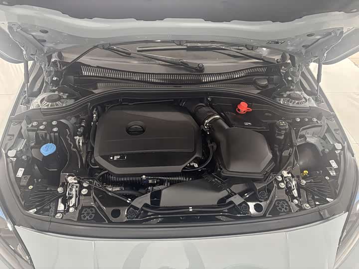 BMW 2 Series 2025 2025款 225L M运动曜夜套装