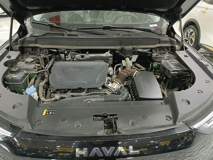 Haval Ruge Max 2023 2023款 1.5L Hi4 105 四驱领航版