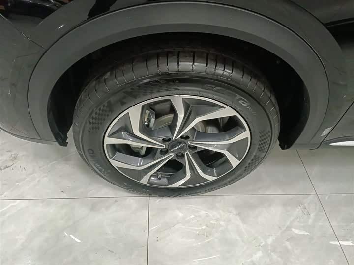 Haval Ruge Max 2023 2023款 1.5L Hi4 105 四驱领航版