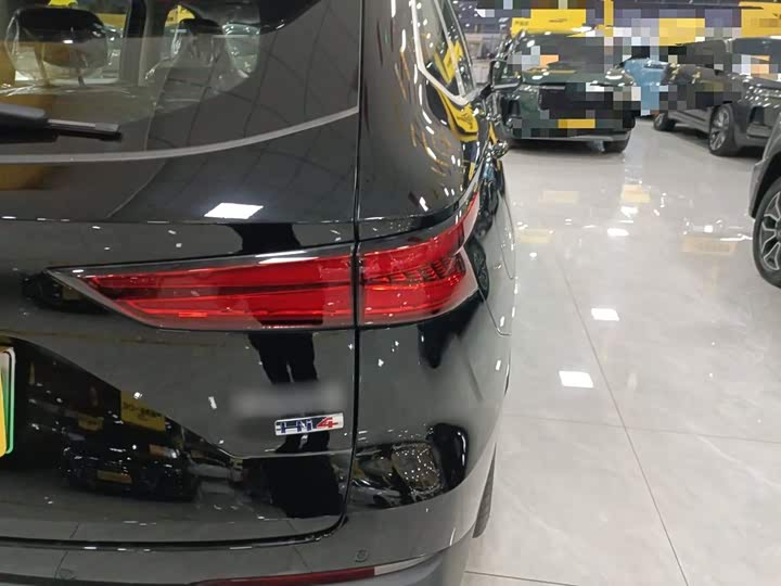 Haval Ruge Max 2023 2023款 1.5L Hi4 105 四驱领航版