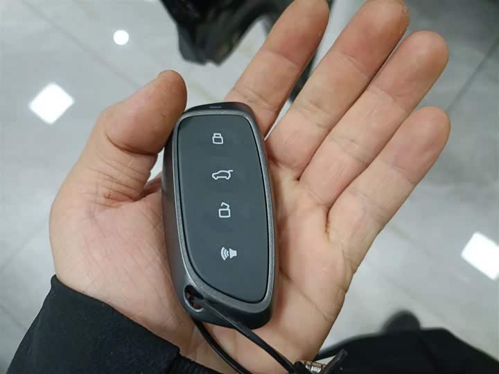 Haval Ruge Max 2023 2023款 1.5L Hi4 105 四驱领航版