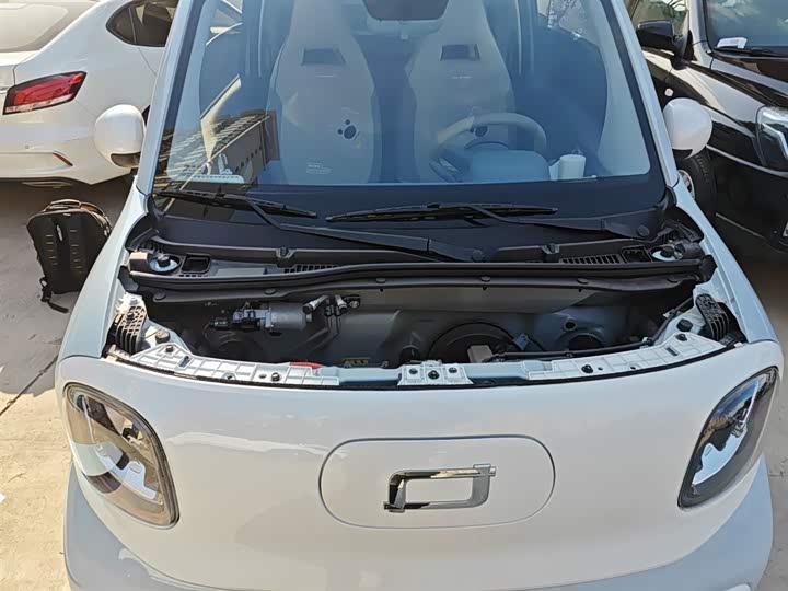 Bestune Pony 2025 2025款 222km 灵动马