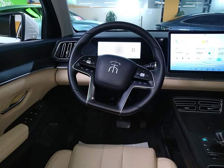 BYD Song Pro Hybrid 2025 2025款 第二代 DM-i 115KM超越型