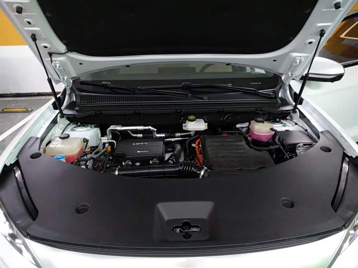 BYD Song Pro Hybrid 2025 2025款 第二代 DM-i 115KM超越型