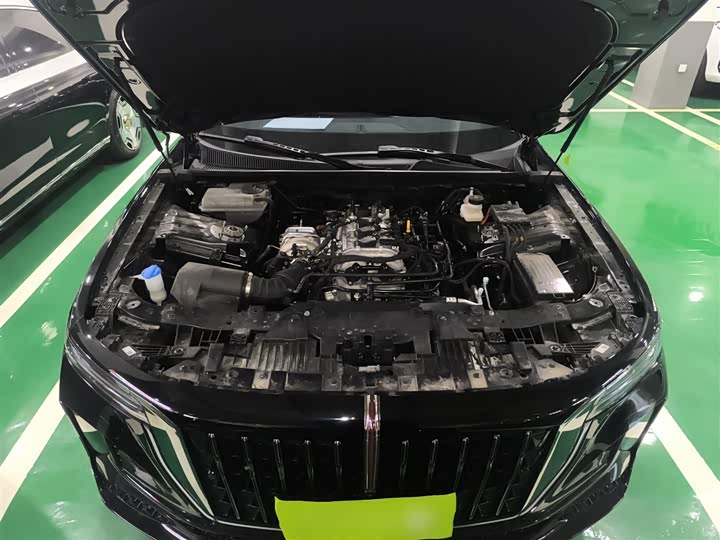 Hongqi H9 2024 2024款 2.0T 旗享 私享风尚版