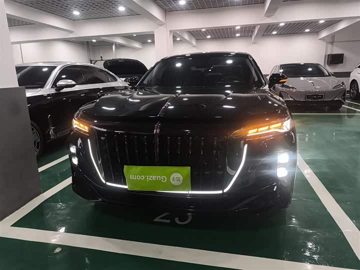 Hongqi H9 2024 2024款 2.0T 旗享 私享风尚版
