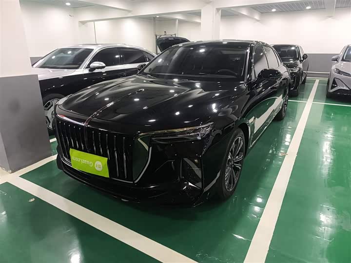 Hongqi H9 2024 2024款 2.0T 旗享 私享风尚版