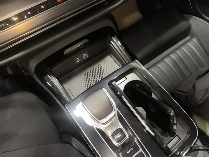 Hongqi H9 2024 2024款 2.0T 旗享 私享风尚版