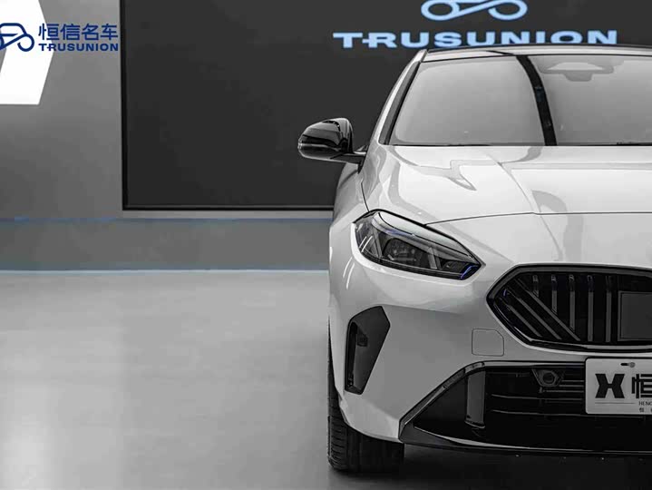 BMW 2 Series 2025 2025款 225L M运动曜夜套装