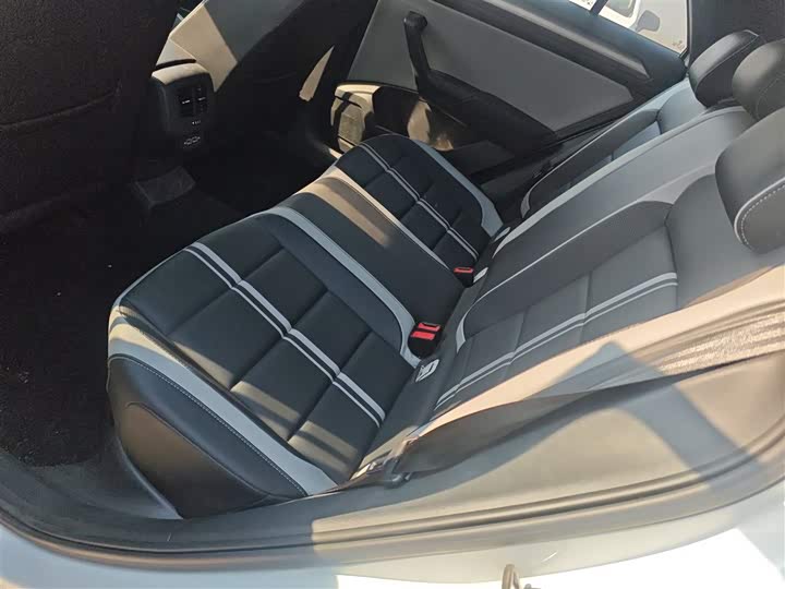 Volkswagen T-Roc 2023 2023款 300TSI DSG两驱星光版