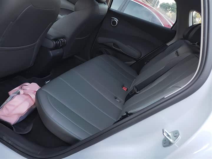 BYD Yuan Plus 2025 2025款 智驾版 510KM 领先型