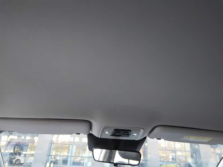 BYD Yuan Plus 2025 2025款 智驾版 510KM 领先型