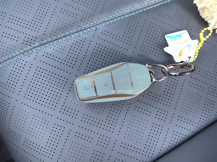 BYD Yuan Plus 2025 2025款 智驾版 510KM 领先型