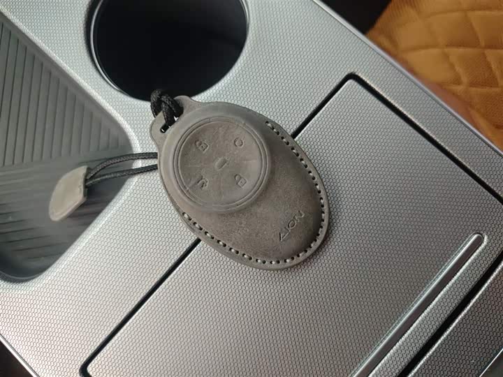 GAC Aion Y 2025 2025款 Plus 510 智享版