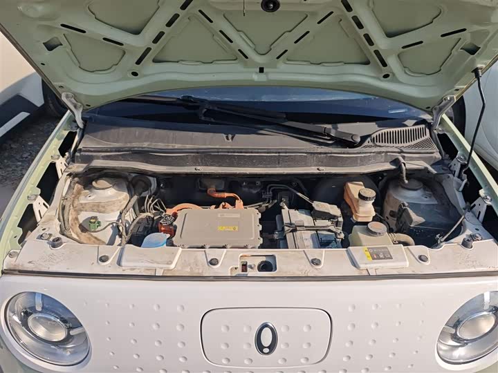 Ora Black Cat 2022 2022款 301km 萌动型 磷酸铁锂