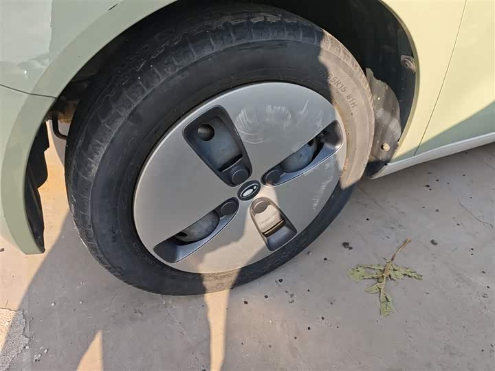 Ora Black Cat 2022 2022款 301km 萌动型 磷酸铁锂