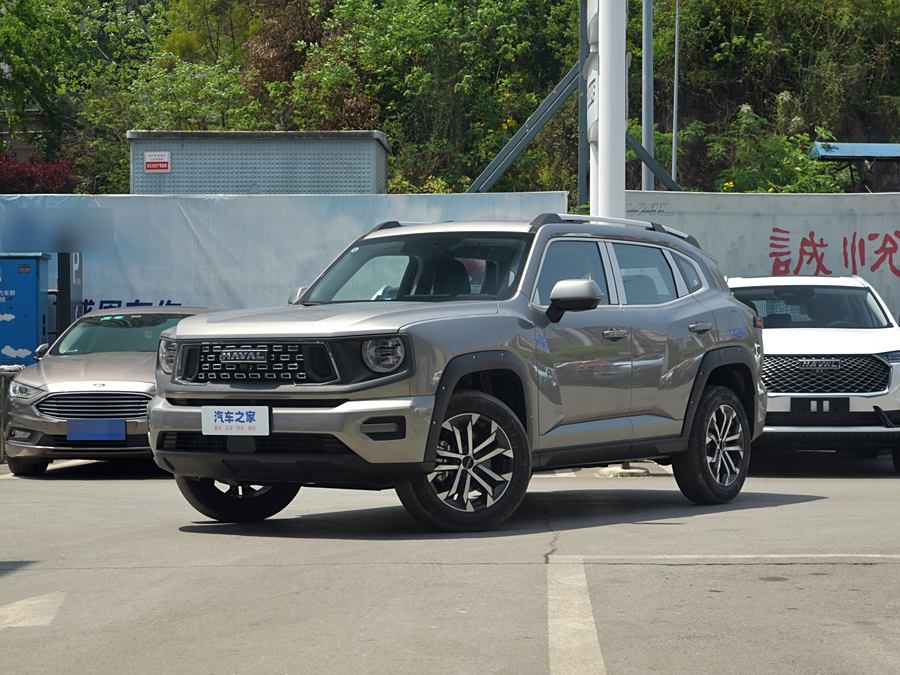 Haval H-Dog 2023 2023款 2.0T 两驱潮野版