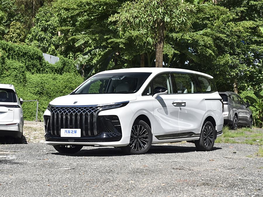 Dongfeng Forthing Xinghai V9 2024 2024款 1.5TD 200km 中国结系列 豪华型