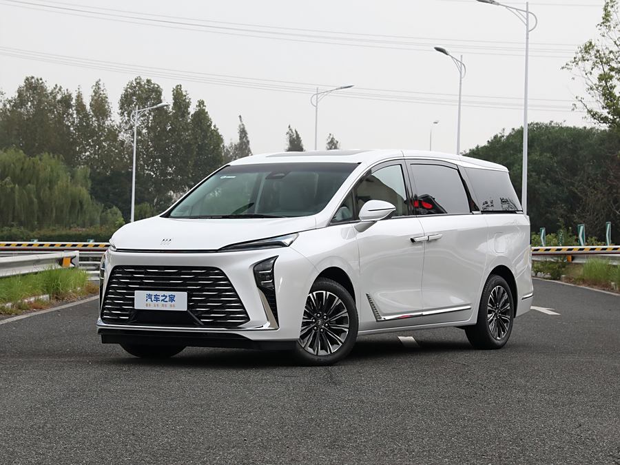 Buick GL8 ES 2025 2025款 陆尊 尊享版