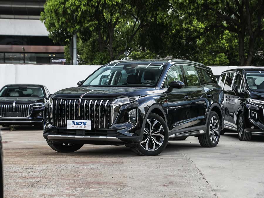 Hongqi HS7 2024 2024款 2.0T 自动两驱旗悦版 五座