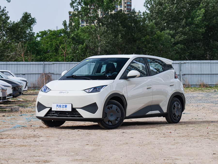 BYD Seagull 2025 2025款 智驾版 305km 活力版