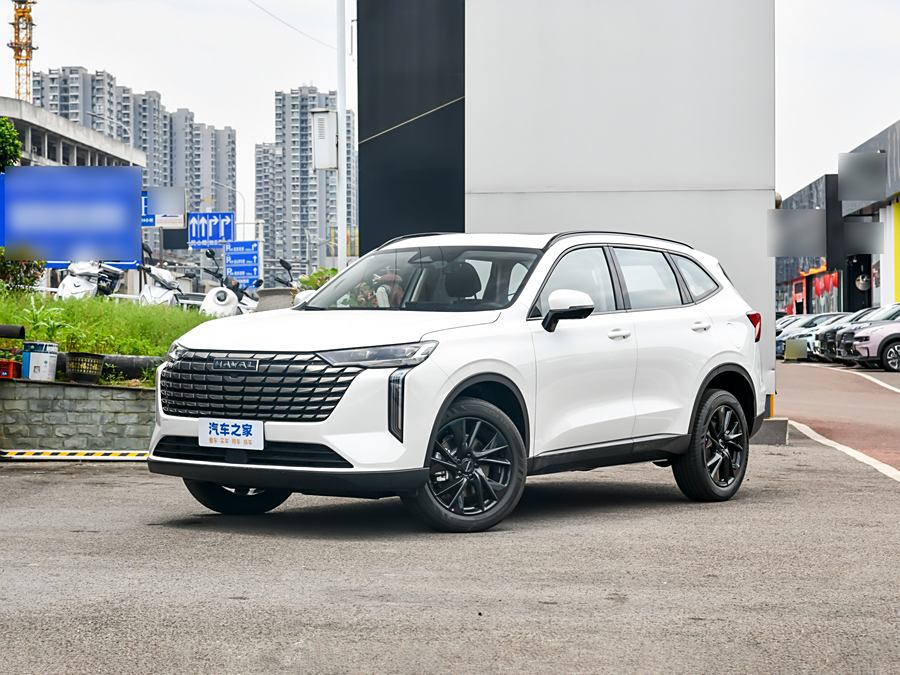 Haval H6 2024 2024款 2.0T 两驱Max
