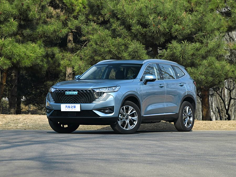 Haval H6 Hybrid 2023 2023款 DHT-PHEV 110KM 悦行版