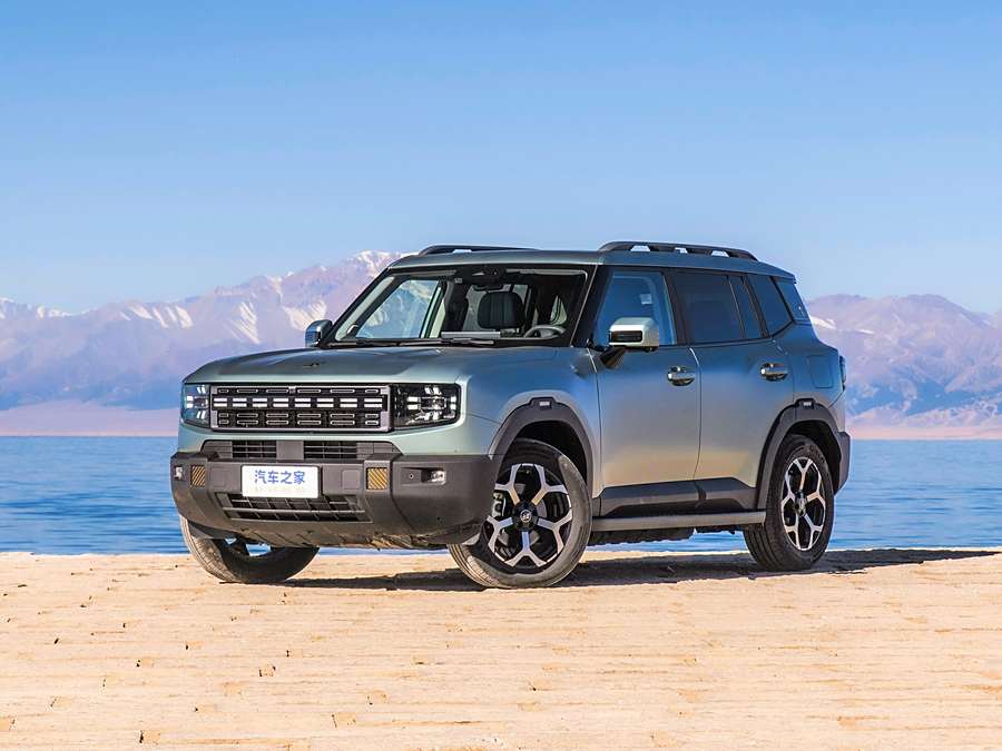 Jetour Shanhai T1 2024 2024款 150km 向山