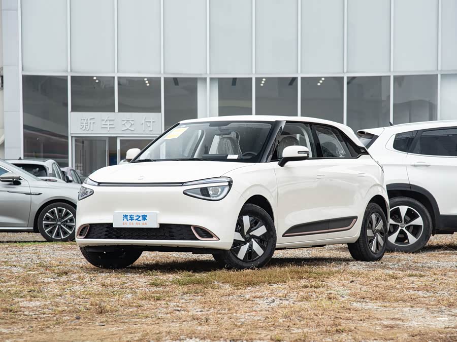 Dongfeng Nammi 01 2026 2026款 初心款 430Air