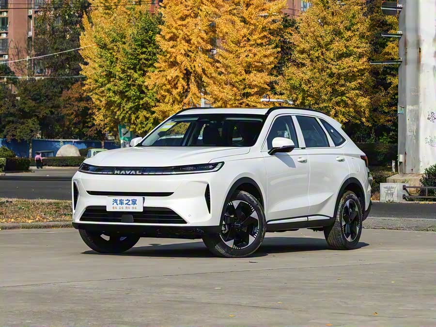 Haval H6L 2026 2026款 2.0T Max