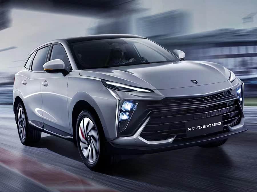 Dongfeng Forthing T5 EVO 2024 2024款 狂飚版 1.5TD DCT黄金款