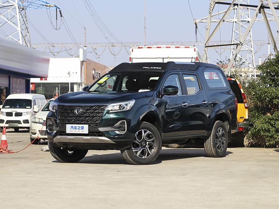 Dongfeng Palasso 2023 2023款 2.0T 手动两驱尊贵型