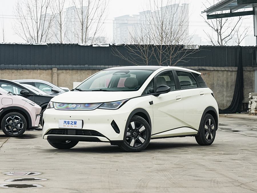 BYD Dolphin 2025 2025款 智驾版 410km 时尚版