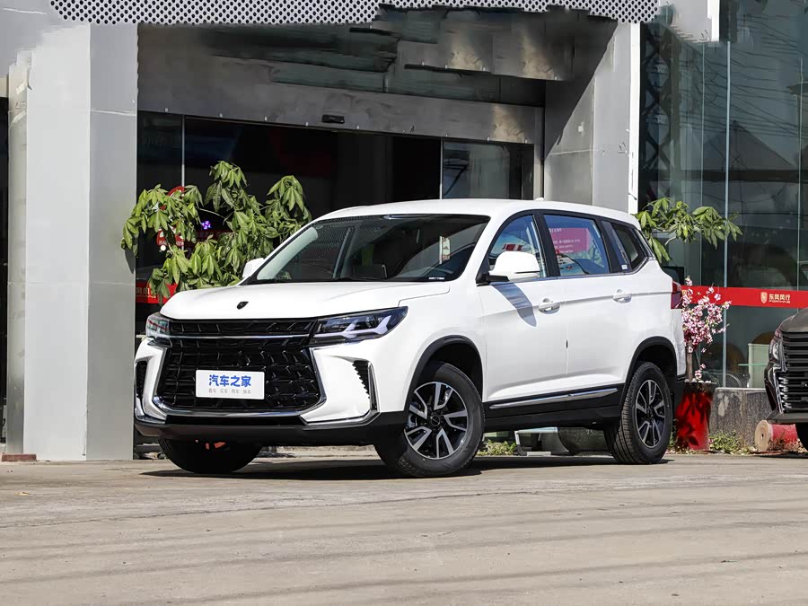 Dongfeng Forthing T5 2024 2024款 盛世款 1.6L 手动筑梦版 五座