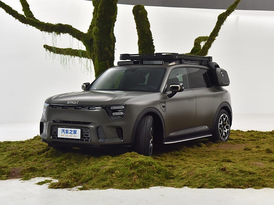 Smart #5 2024 2024款 丛林之境 限量版