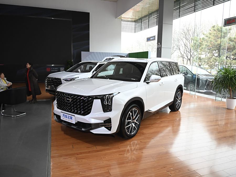 GAC Trumpchi GS8 2025 2025款 领航系列 2.0TGDI 四驱豪华版 5座