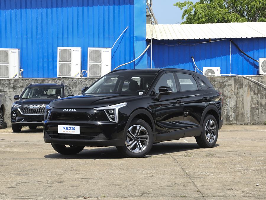 Haval Ruge 2023 2023款 1.5L 110KM领动版