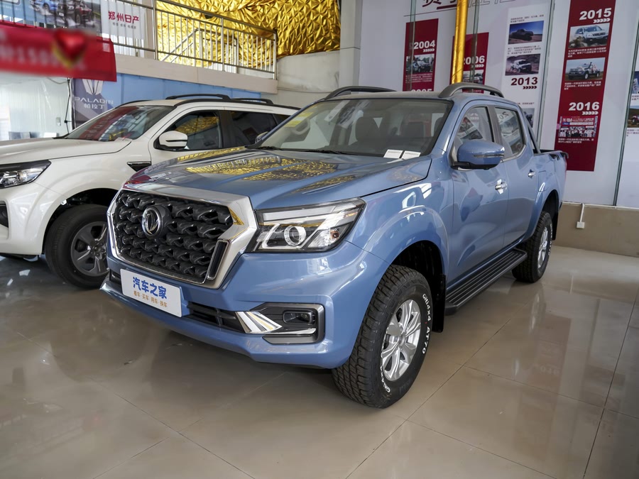 Dongfeng Rich 6 Pro 2025 2025款 高原版 2.0T 手动两驱汽油豪华版标箱