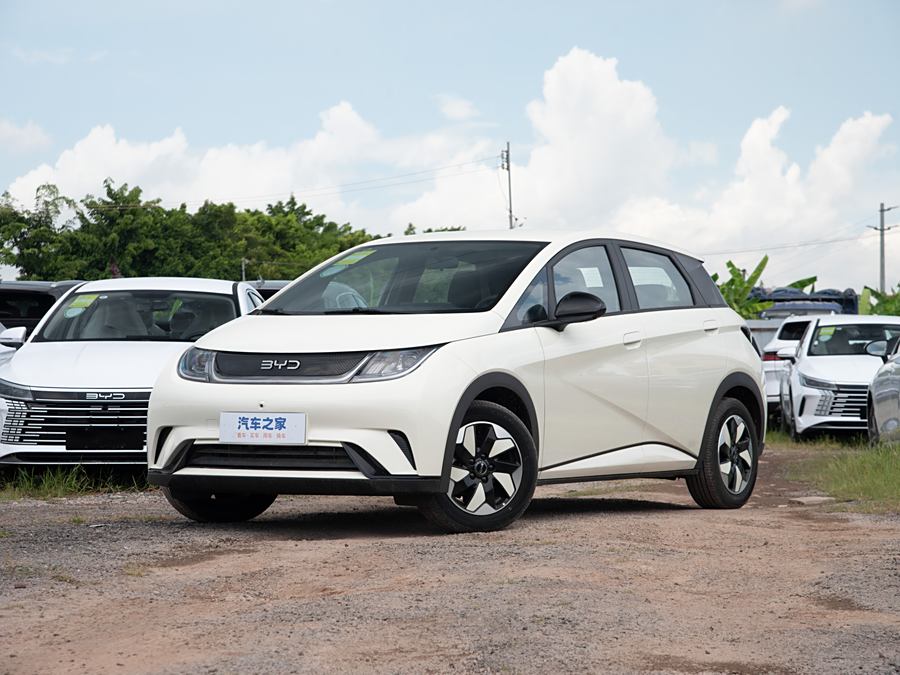 BYD Dolphin 2025 2025款 420km 自由版