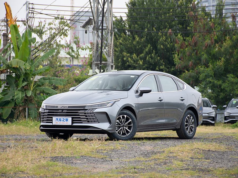 BYD Destroyer 05 2024 2024款 荣耀版 DM-i 55KM 豪华型